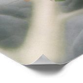 Impression macro de criquet vert (Coin)