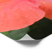 Impression Macro Fleur d'Hibiscus Orange (Coin)