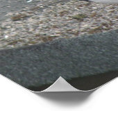 Impression Magie (Coin)