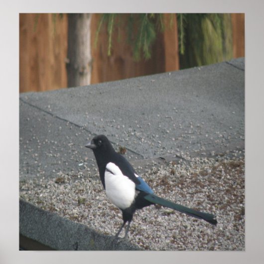 Impression Magie (Devant)