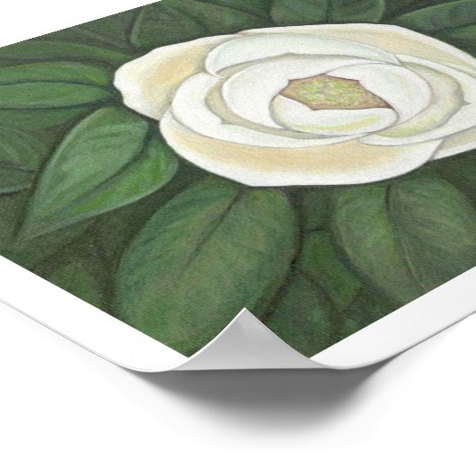 Impression Magnolia (Coin)
