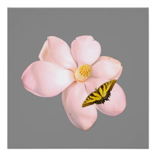 Impression Magnolia, Papier pour Affiche de Valeur