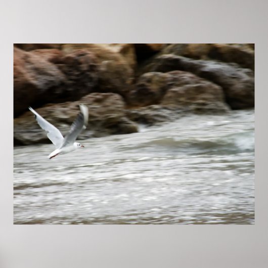 Impression maître éolien (Devant)