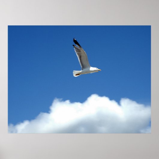 Impression maître éolien (Devant)