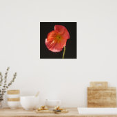 Impression Matte - Fleur Fermer (Cuisine)