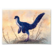 Impression Mei (Devant)