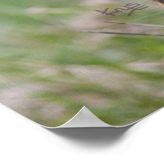 Impression Mink (Coin)