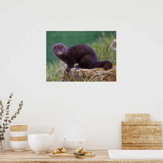 Impression Mink (Cuisine)