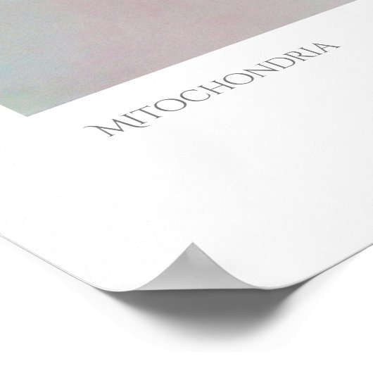 Impression Mitochondrie (Coin)