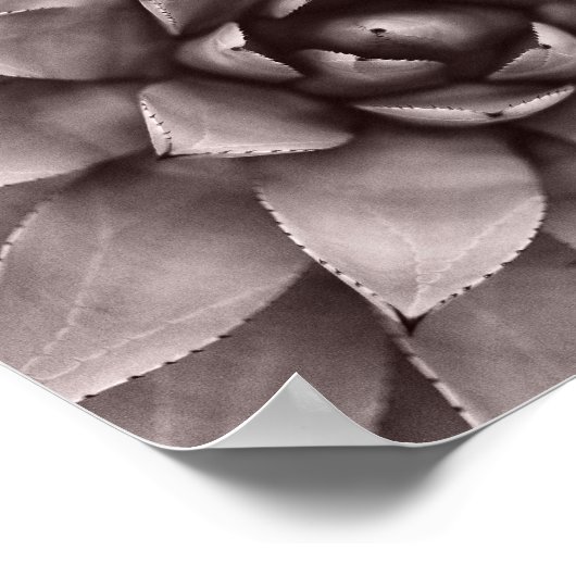 Impression moderne réussie (Coin)