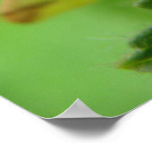 Impression Mois Brimstone (Coin)