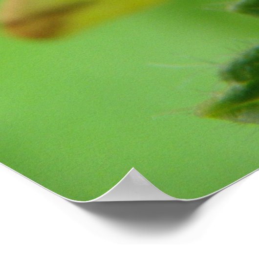 Impression Mois Brimstone (Coin)