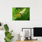 Impression Mois Brimstone (Bureau à domicile)