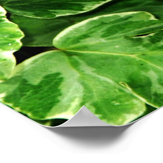 Impression Morpho bleu (Coin)