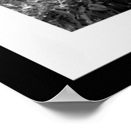 Impression murale historique (Coin)