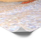 Impression Nap Rat (Coin)