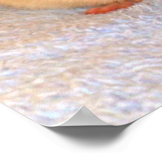 Impression Nap Rat (Coin)