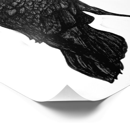 Impression noir (Coin)