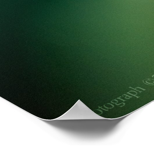 Impression numérique (Coin)