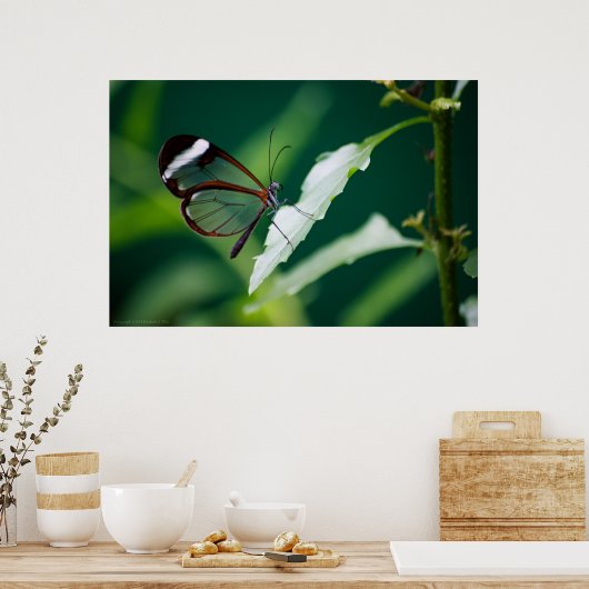 Impression numérique (Cuisine)