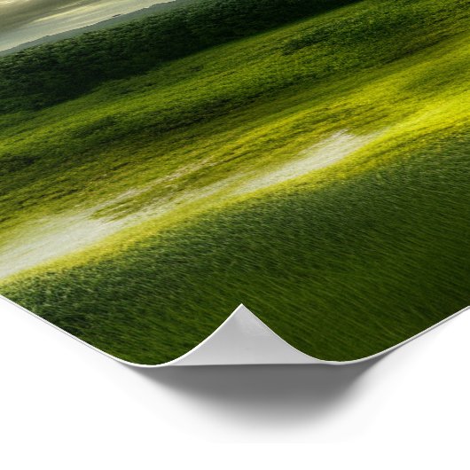 Impression Oasis Verte (Coin)