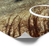 Impression Oklahoma Prairie (Coin)