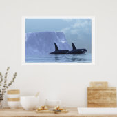IMPRESSION ORCA (Cuisine)