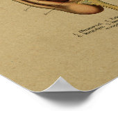 Impression oreille d'anatomie allemande vintage (Coin)