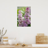 Impression P5390 Lilas (Cuisine)