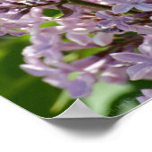Impression P5390 Lilas (Coin)