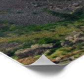Impression P5487 de Hell's Canyon (Coin)