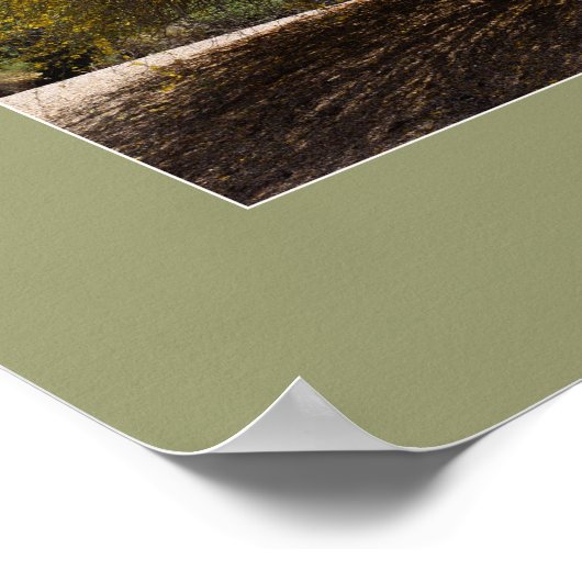 Impression Palo Verde Tree (Coin)