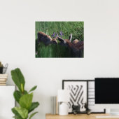 Impression papier Doe et fawn (Bureau à domicile)