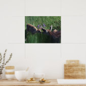 Impression papier Doe et fawn (Cuisine)