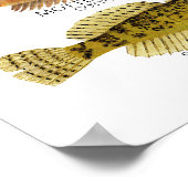 Impression, papier pour affiche de valeur (mat) (Coin)