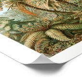 Impression, papier pour affiche de valeur (mat) (Coin)