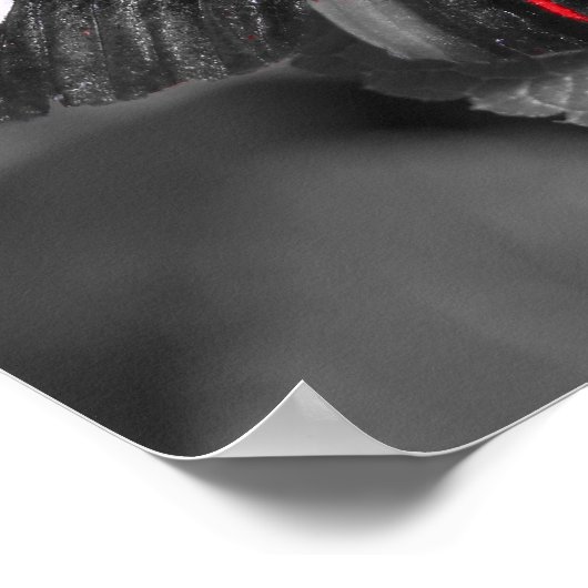 Impression Papillon (Coin)