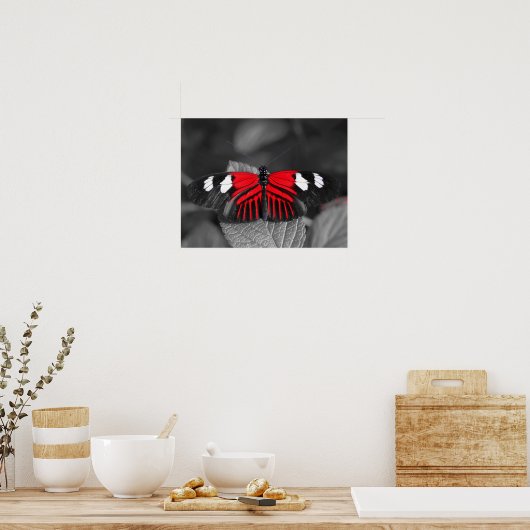 Impression Papillon (Cuisine)