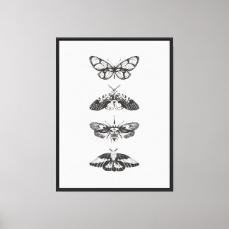 Impression papillon