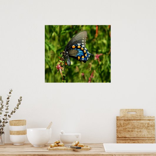 Impression papillon à queue nue (Cuisine)