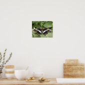 Impression papillon tropical noir et blanc (Cuisine)