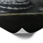 Impression parfaite de pigeon (Coin)