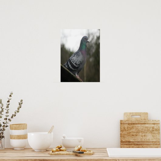 Impression parfaite de pigeon (Cuisine)