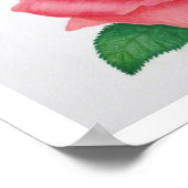 Impression Passion rose (Coin)
