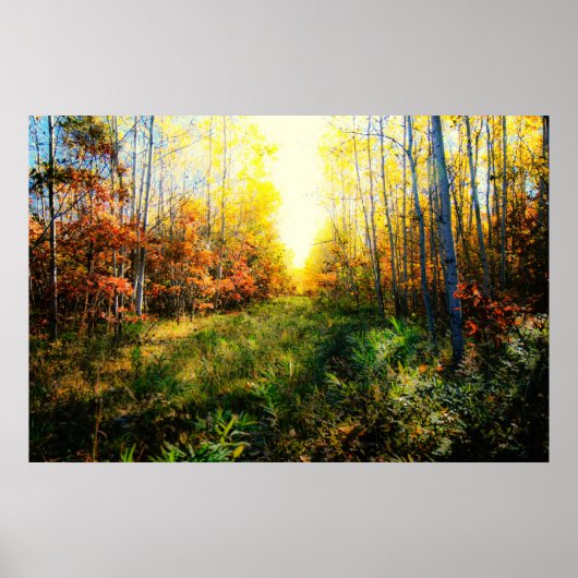 Impression paysagère de couleur brillante (Devant)