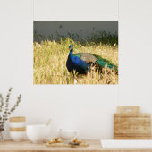 Impression Peacock (Cuisine)