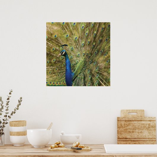 Impression Peacock (Cuisine)