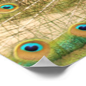 Impression Peacock (Coin)