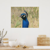 Impression Peacock (Cuisine)