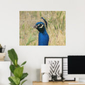 Impression Peacock (Bureau à domicile)